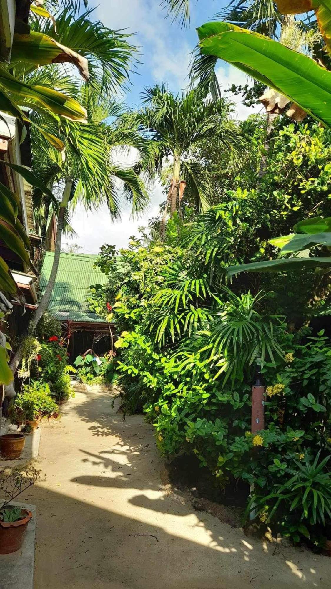 Beer'S House Bungalows เบียร์เฮ้าส์บังกะโล Ban Lamai Exterior photo
