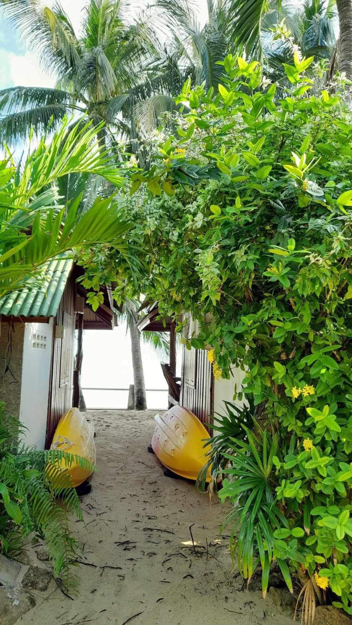 Beer'S House Bungalows เบียร์เฮ้าส์บังกะโล Ban Lamai Exterior photo